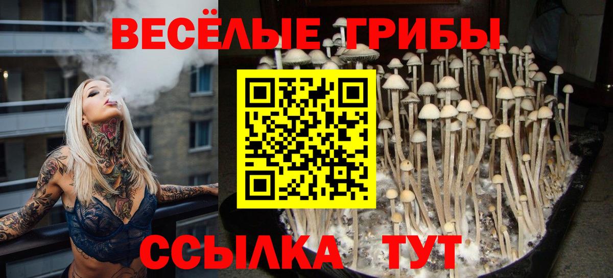 Великие Луки  Псилоцибиновые грибы Psilocybine cubensis  Вход с VPN  Псилоцибиновые грибы Psilocybine cubensis 